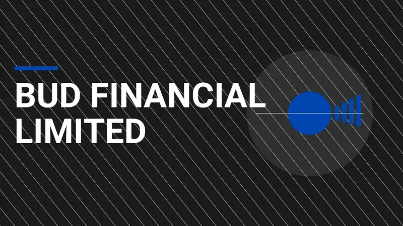 Bud Financial Limited: A Comprehensive Overview