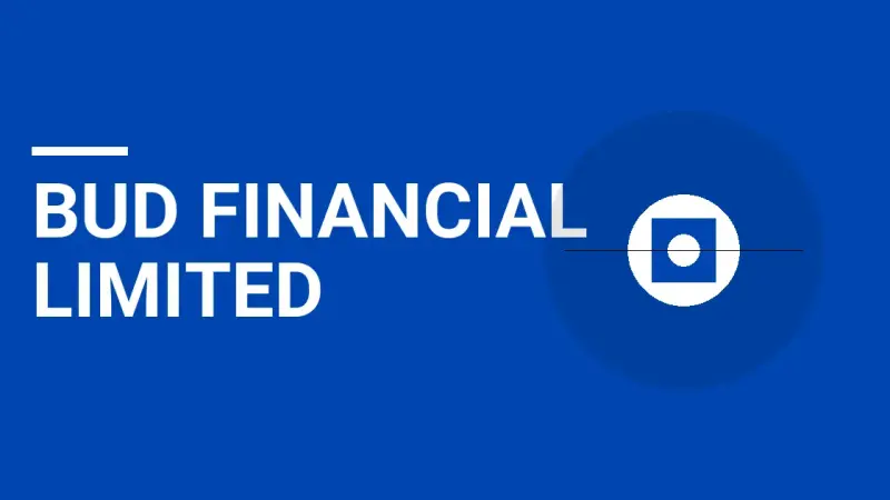 Bud Financial Limited: A Comprehensive Overview of Innovation and Excellence